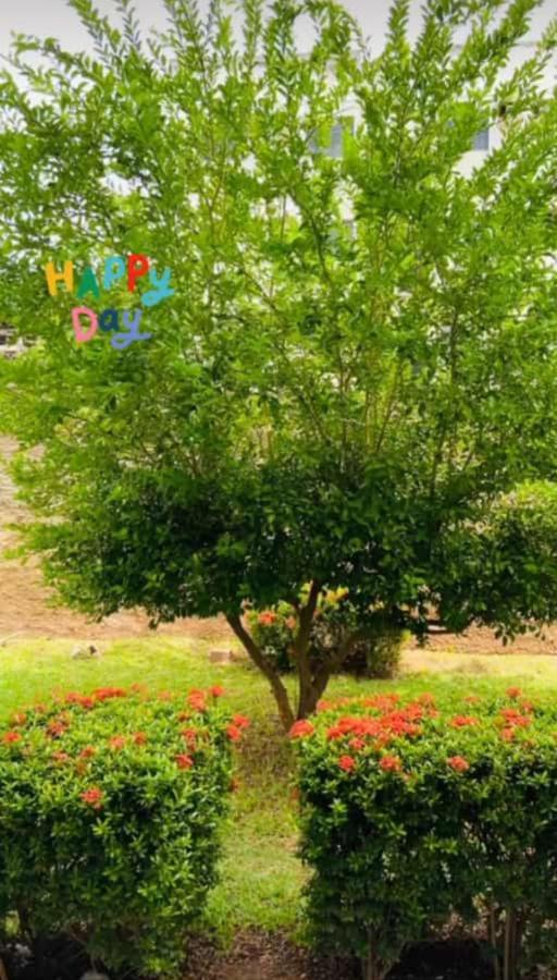 Apartamento, Zona Leste, Otima Localizacao. 特雷西纳 外观 照片
